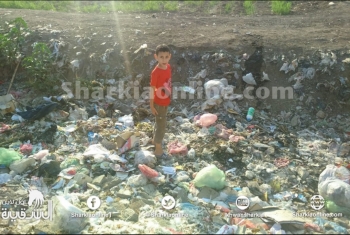  بالصور .. تراكم القمامة بترع قرية كفرحمودة بههيا
