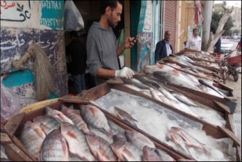 ارتفاع الأسعار الجنونى يهدد بغلق محال الأسماك