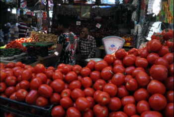  جنون الطماطم.. ارتفاع أسعار بالأسواق والكيلو يسجل 25 جنيها