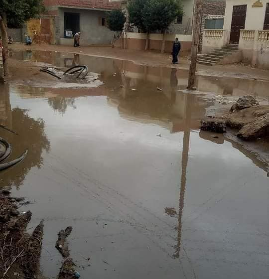 أهالي جزيرة عليوة بالحسينية يخشون انهيار منازلهم بسبب الصرف الصحي